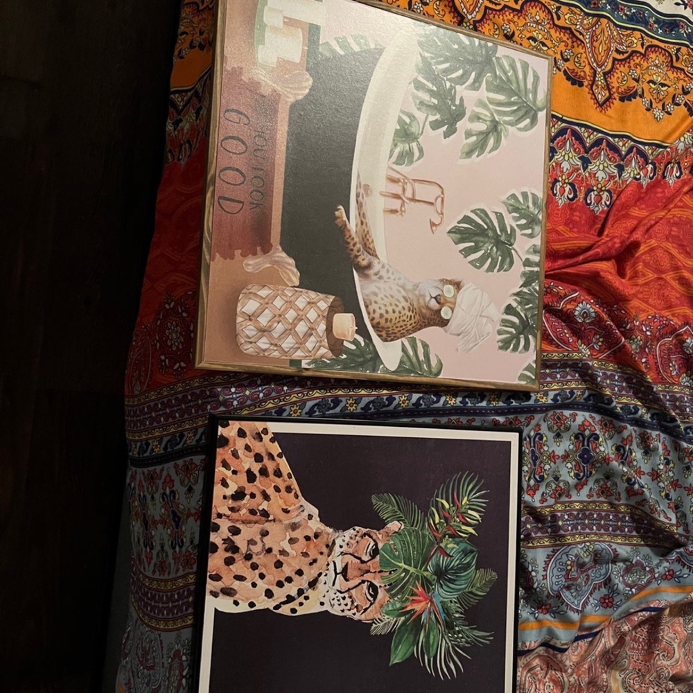 Two cheetah canvases